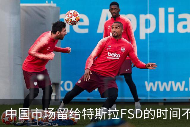 中国市场留给特斯拉FSD的时间不多了？