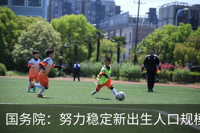 国务院：努力稳定新出生人口规模 优化面向家庭的财税、住房等支持举措